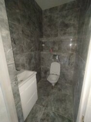   -, -, ,  䳿 ., 3  6