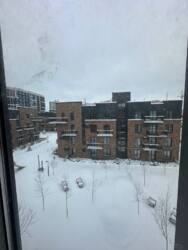 ��������� �������� �����-����������, �����-���������, ������������, 5 ���� 11