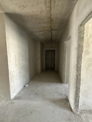 ��������� �������� ���������, 38, �����-���������, �����-����������, ����� ���� 10