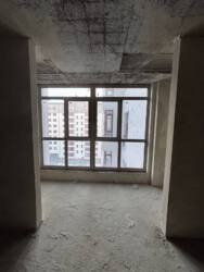 ��������� �������� ��������, �����-���������, �����-����������, ������ ���� 12