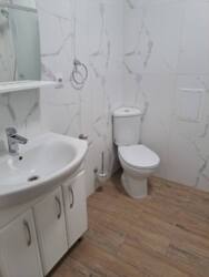 ��������� �������� �����-����������, �����-���������, ��������, �����������, 227 ���� 10