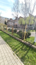 ��������� �������� ����������, 26, �������, ������������, �����-���������� ���� 17