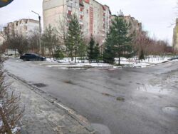 ��������� �������� �����-����������, �����-���������, ���������, ��������� �. ���. ���� 17