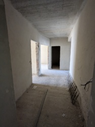 ��������� �������� �������� ����, 3, �����-���������, �����-����������, ������ ���� 50