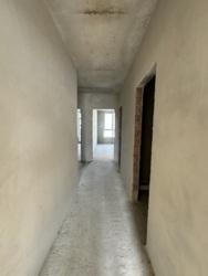 ��������� �������� ���������, 38, �����-���������, �����-����������, ����� ���� 3