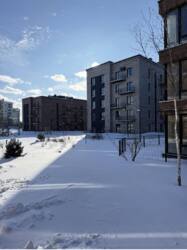 ��������� �������� �����-����������, �����-��������� ����, ��������, 24 ������ ���� 8