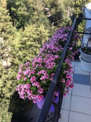 Продається квартира Івано-Франківська, Івано-Франківськ, Озеро, Карпатської Січі вул., 8 фото 7 Продається квартира Івано-Франківська, Івано-Франківськ, Озеро, Карпатської Січі вул., 8 фото 7