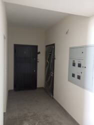 ��������� �������� �������������� ���., 40�, �����-���������, �����-����������, ������ ���� 5