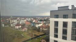 ��������� �������� �����-����������, �����-���������, ��� ���� 12