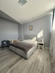 ��������� �������� ���������, �����-���������, �����-����������, ��� ���� 3