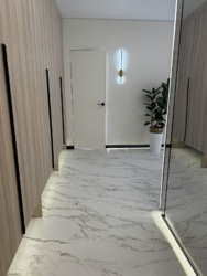 ��������� �������� 24 ������ ���., �����-���������, �����-����������, ��� ���� 3