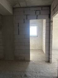 ��������� �������� ��������, 14, �����-���������, �����-����������, ��� ���� 11