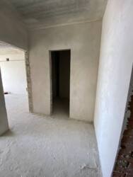 ��������� �������� �����, �����-���������, �����-����������, ������ ���� 11