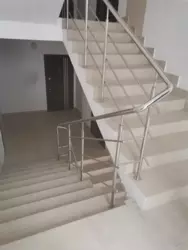 ��������� �������� ����������� �. ���� ���., �����-���������, �����-����������, ������� ���� 31