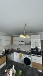 ��������� �������� ��������, 3�, �������, ���������, �����-���������� ���� 7