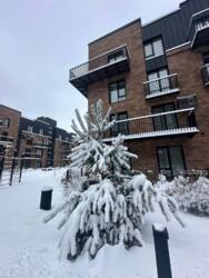 ��������� �������� �����-����������, �����-���������, ������������, 5 ���� 20