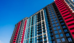 ��������� �������� ����������� ���., �����-���������, �����-����������, ����� ���� 1