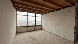 ��������� �������� �����-����������, �����-���������, ���, �������� �. ���. ���� 14