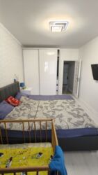 ��������� �������� �����������, ���������, �����-��������� ����, �����-���������� ���� 2