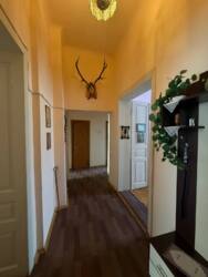 ��������� �������� ���������, �����-���������, �����-���������� ���� 3