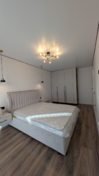   -, -, ,  ., 223-  17