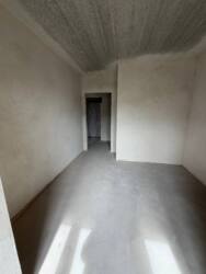 ��������� �������� �������� �. ���., 31�, �����-���������, �����-����������, ����� ���� 4