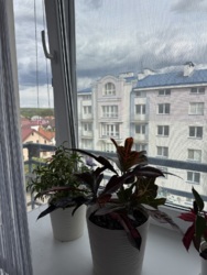 Продається квартира Симоненка В. вул., 33в, Івано-Франківськ, Івано-Франківська, Каскад фото 4 Продається квартира Симоненка В. вул., 33в, Івано-Франківськ, Івано-Франківська, Каскад фото 4