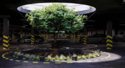 ��������� �������� ����������� ����䳿 ���., �����-���������, �����-����������, ����� ���� 6