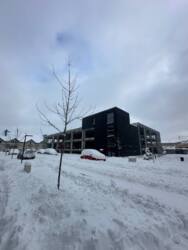 ��������� �������� �����-����������, �����-���������, ������������, 5 ���� 10