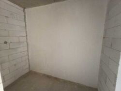 ��������� �������� �����-����������, �����-���������, �����, ����� ������ ���� 14