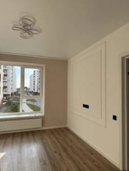 ��������� �������� �����������, ���������, �����-��������� ����, �����-���������� ���� 1