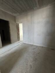 ��������� �������� ����������� �. ���� ���., �����-���������, �����-����������, ������� ���� 8