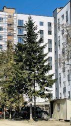 ��������� �������� �������� ���., �����-���������, �����-���������� ���� 1