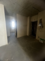 ��������� �������� �����������, ���������, �����-��������� ����, �����-���������� ���� 12