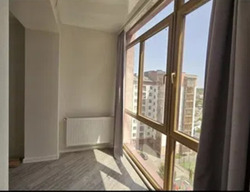 ��������� �������� �����������, ���������, �����-��������� ����, �����-���������� ���� 8