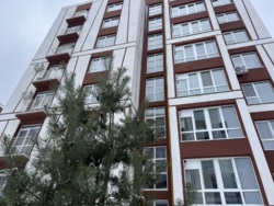 ��������� �������� ���������, ���������, �����-��������� ����, �����-���������� ���� 1