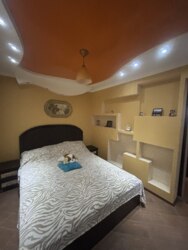 ��������� �������� �����-����������, �����-���������, ó���, ����������� ���� 10