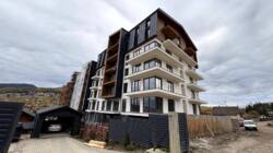 ��������� �������� �����-����������, ������, �������� ���� 3