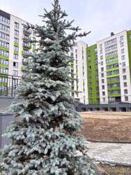 ��������� �������� �����-����������, �����-���������, ����� ���� 1