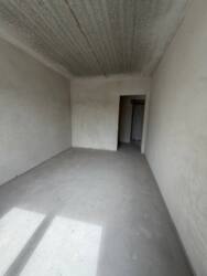 ��������� �������� �������� �. ���., 31�, �����-���������, �����-����������, ����� ���� 13