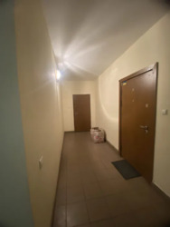 ��������� �������� ������� �. ���., �����-���������, �����-����������, ������ ���� 15