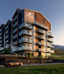 ��������� �������� �����-����������, ������, �������� ���� 3