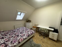 ��������� �������� �����-���������, �����-����������, ����� ���� 14