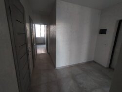   -, -, ,  䳿 ., 3  11