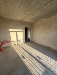 ��������� �������� �����-����������, �����-���������, ���, �������� �. ���., 31� ���� 3