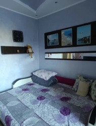 ��������� �������� ��������� ���., �����-���������, �����-����������, ����� ���� 11