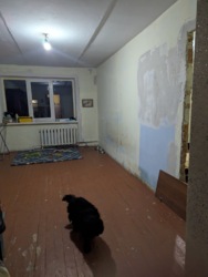 ��������� �������� �����, �����-���������, �����-���������� ���� 4