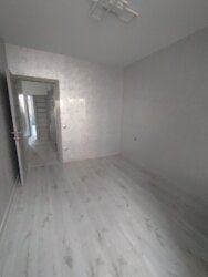   -, -, ,  䳿 ., 3  4