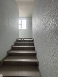 ��������� �������� ������, �����-���������, �����-����������, ������� ���� 14