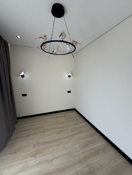 ��������� �������� 24 ������ ���., �����-���������, �����-����������, ��� ���� 14